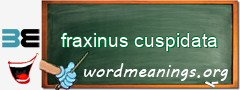 WordMeaning blackboard for fraxinus cuspidata